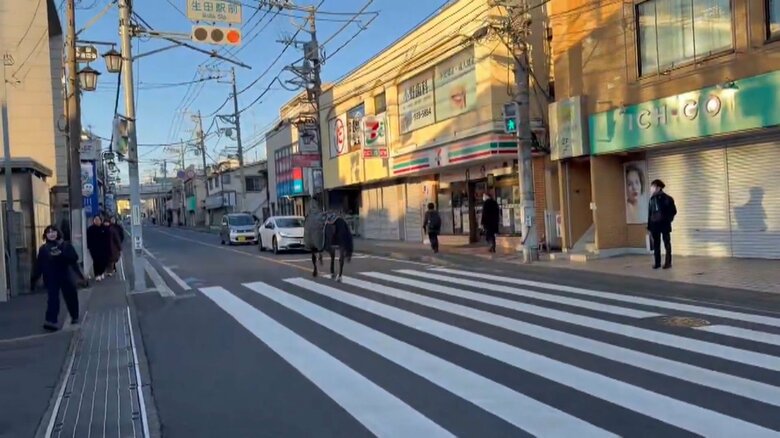 視聴者撮影