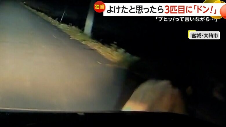 運転中の車の前に突然イノシシ3匹が飛び出し衝突する瞬間（22日午後6時半頃、宮城・大崎市）④