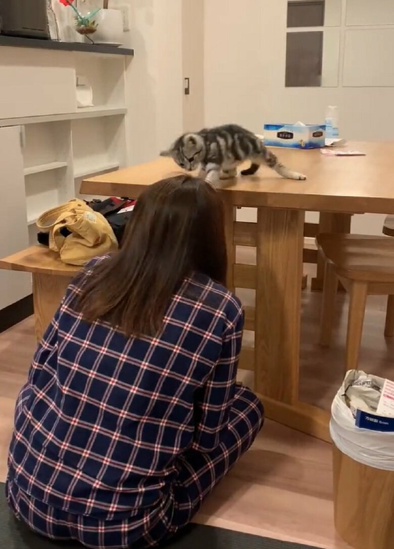 いや、でも遅いかな？