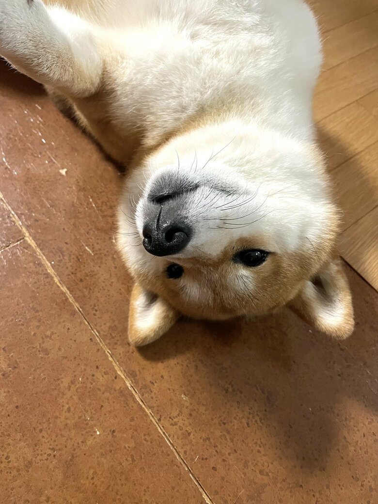 提供：うにさん