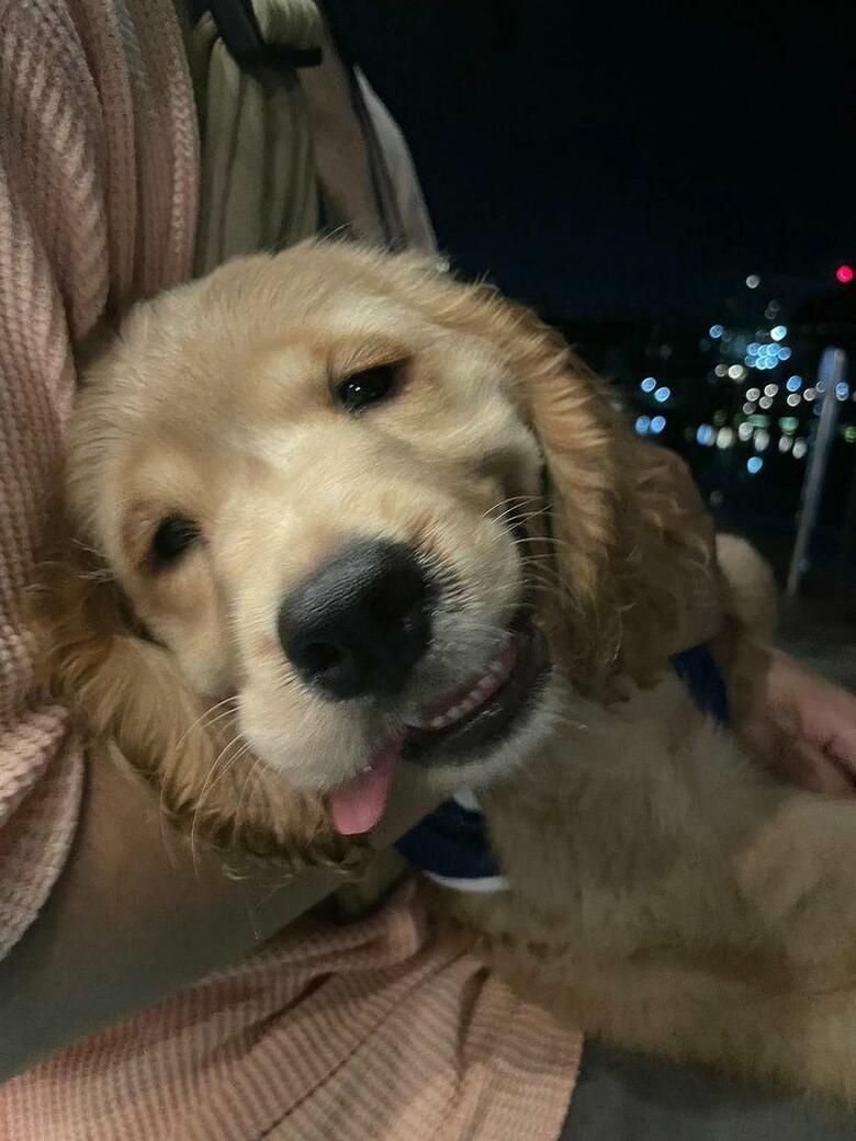 提供：関口和也さん