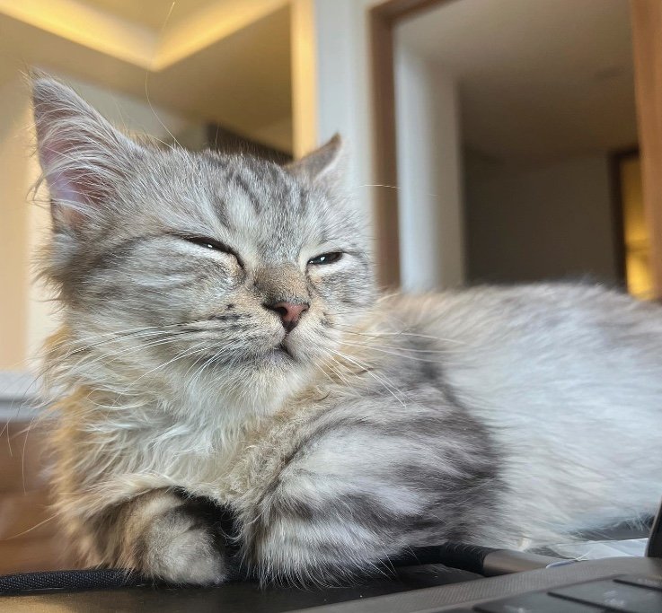 提供：チワックスの諭吉くん。さん