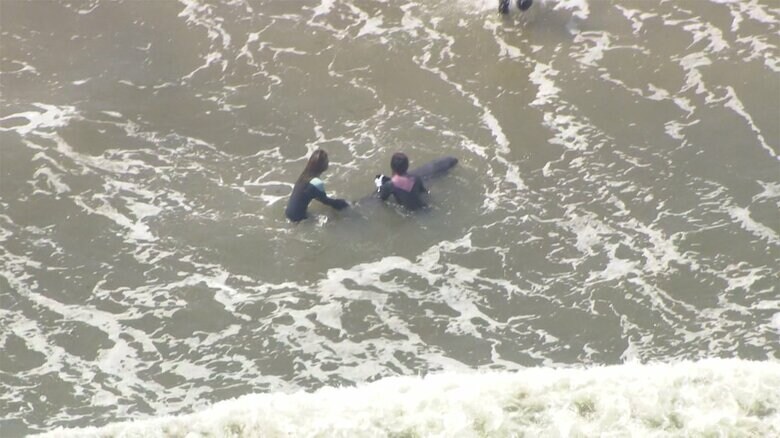 現場では、サーファーらがイルカを海に戻そうとする様子が見られた。