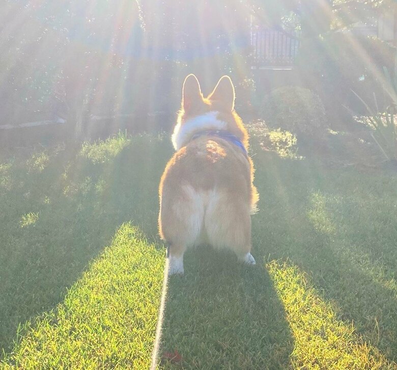 提供：むぎん家＠きよらさん