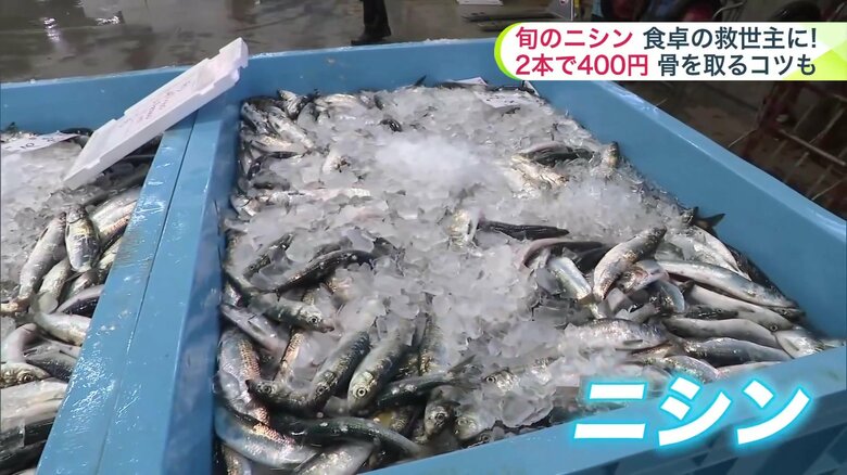 旬の大きなニシン