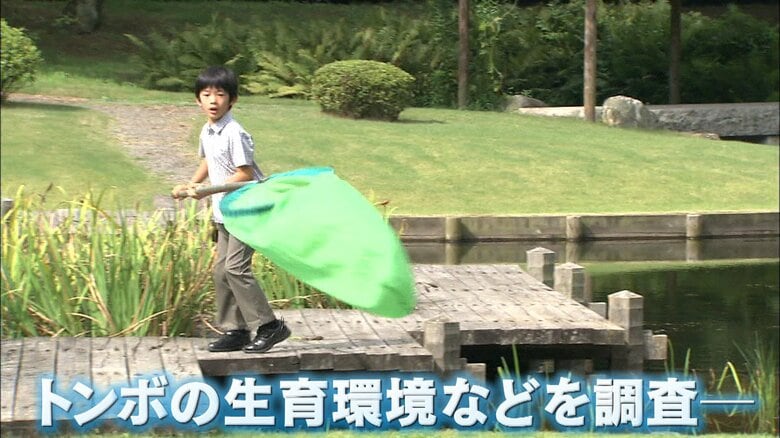 2013年9月　赤坂御用地にて