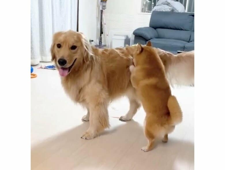 提供：うにandおからさん