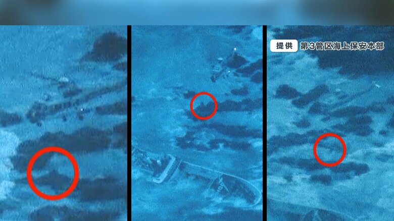 一人ずつ慎重につり上げられていく