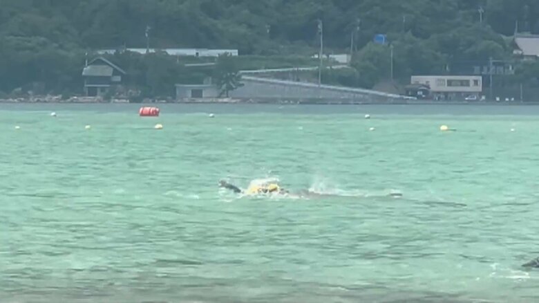 イルカが子どもを襲う一部始終⑩（全18枚）