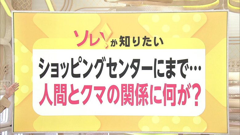 クマ出没 今年はなぜ多い? 3つの「原因」