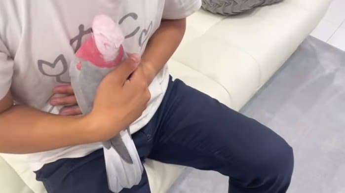パパに抱っこされて嬉しいみりんちゃん