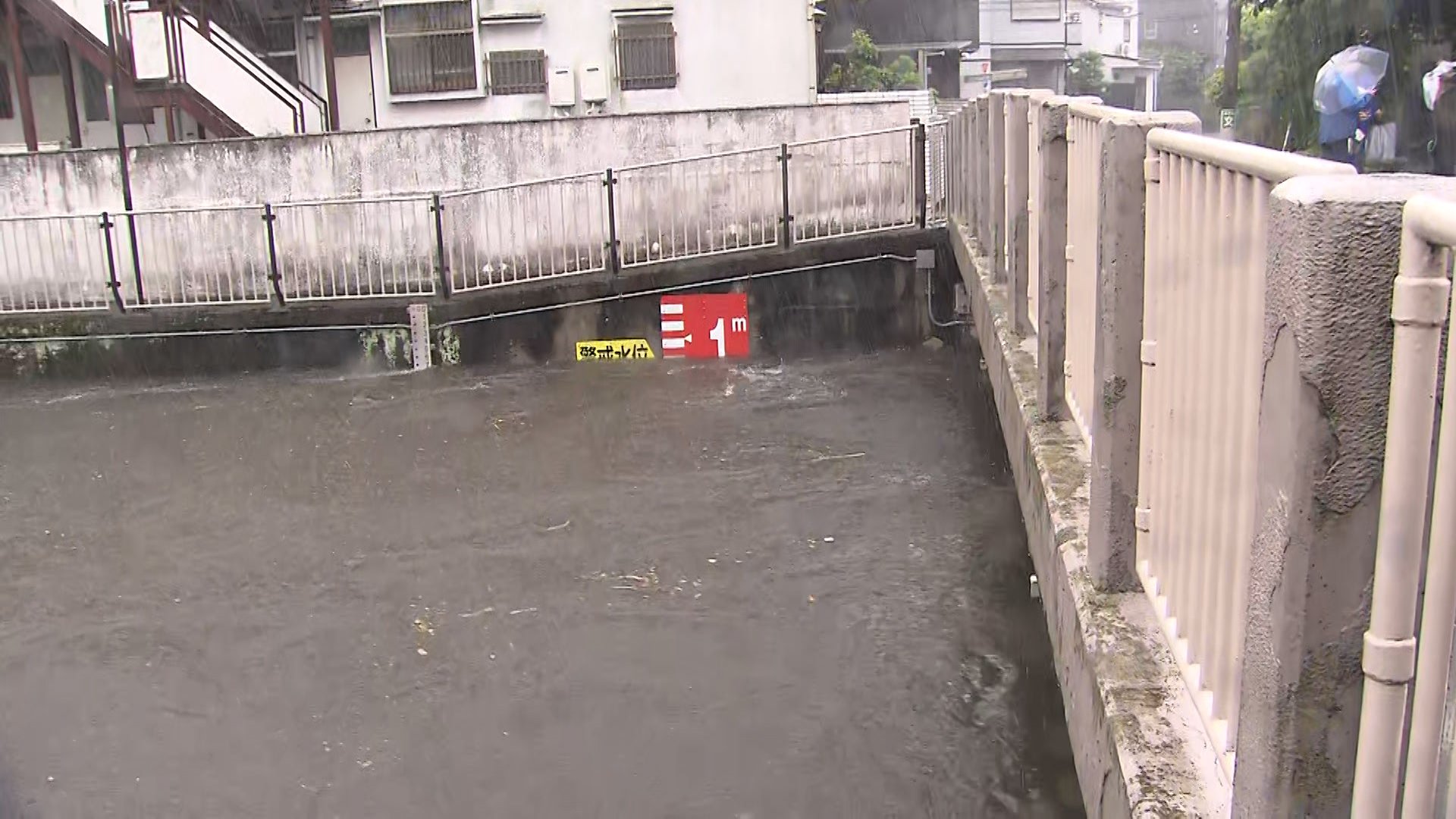 【中継】東京・善福寺川にレベル4氾濫危険警報　危険水位まで1メートルを切る　「垂直避難」を