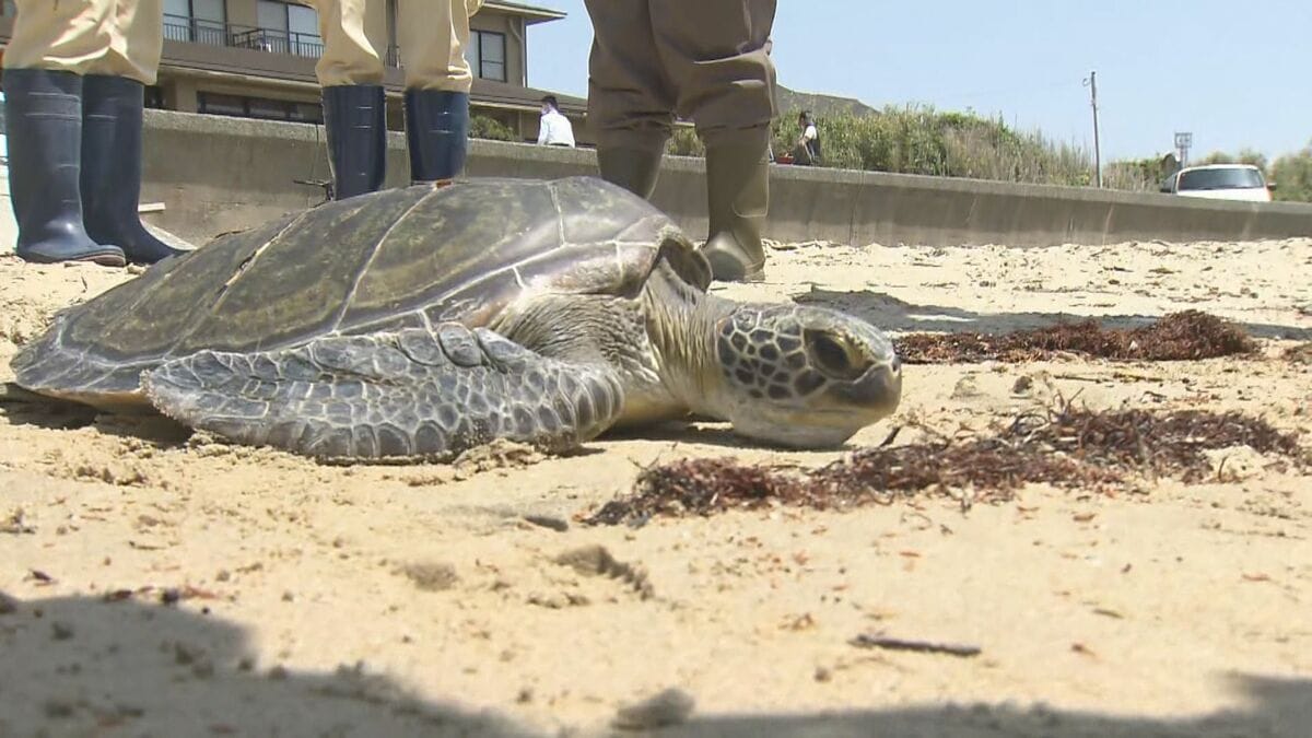 img_966a17f3e0d64cdb2d6e80d0ed