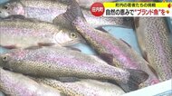 「釣りが大好き」理容業と二刀流で養殖に挑戦　ガッサーモンやニジサクラ…自然の恵みで“ブランド魚”を【山形発】