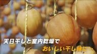 干し柿作りピーク　太陽の日差しを受けた吊るし柿は、まるでオレンジ色のカーテン　12月から販売　尾道市