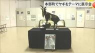 「ヤギを知ろう！展」　意外と知らないヤギの生態とは