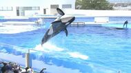 夏休み直前!日帰りで“涼”を求めるならココ “海の王者”シャチを間近で見られる水族館に“最恐”のお化け屋敷【近畿地方】