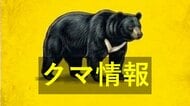 山口市の国道にクマ　体長約１メートル　道路横断して山間部へ　ＪＲ地福駅近く