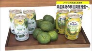 県産素材の商品開発推進へ
