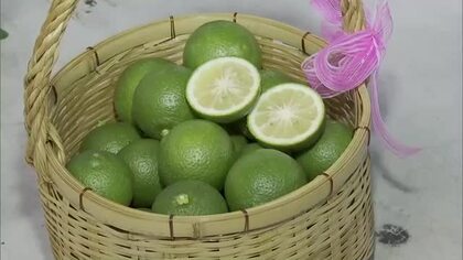 全国一の生産量・大分県産のカボス　露地ものの出荷始まる　果汁は十分で品質も良い出来に　竹田市