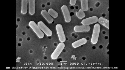 100℃でも死なないウエルシュ菌が鍋底で増殖…夏場のカレーの食中毒リスクを下げるには？軽くレンチンだけはNG