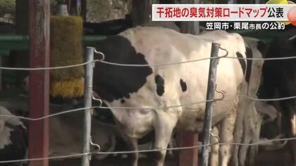 約１万頭の牛飼育…市街地に流入する笠岡湾干拓地の臭気対策　笠岡市が対策のロードマップ【岡山】