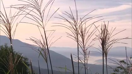 厳しい暑さ続くも朝はひんやり秋の気配　蒜山地区の鬼女台で広がりをみせるススキの景色【岡山・真庭市】