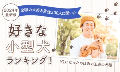 【2024年最新版:全国の犬好き男性300人に聞いた】好きな小型犬ランキング!1位になったのはあの王道の犬種