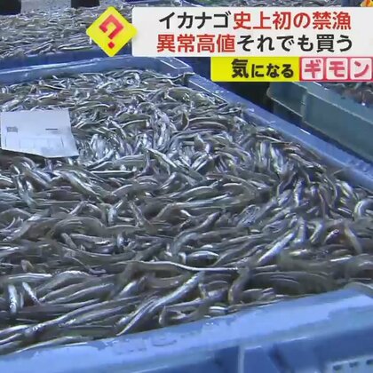 「春の年賀状」イカナゴ史上初の“全面禁漁”　記録的な不漁が続き去年の2倍の価格に　温暖化の影響か　兵庫・明石市