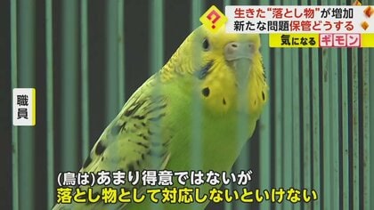 生きた落とし物”増加 4年間で10万匹超え 脱走したペットが殺処分