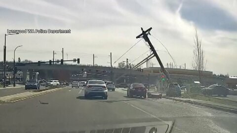 携帯電話“ながら運転”の車が電柱に衝突、根元から折れ倒れ炎が上がる瞬間　“間一髪”車との激突は回避　アメリカ