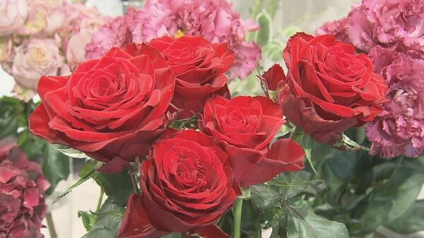 切り花1本で990円の店も…中東情勢の影響で『バラ』もピンチ 生産者のコストから生花店の資材まで軒並み高騰｜FNNプライムオンライン