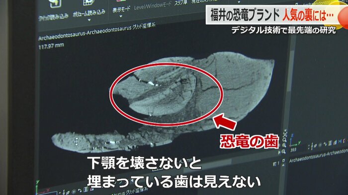 恐竜の下顎をCTスキャンしたデータ