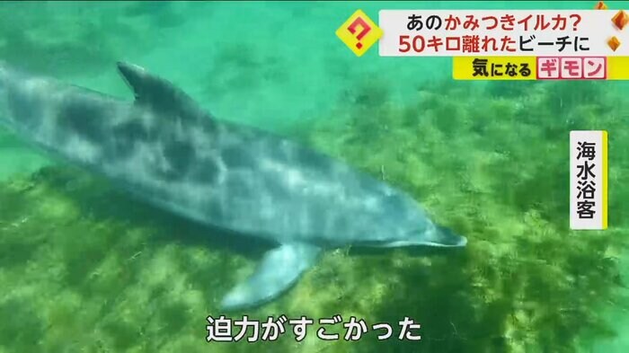 (エスペランサ福井)