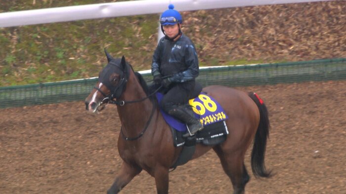 福永祐一厩舎のチャンネルトンネル