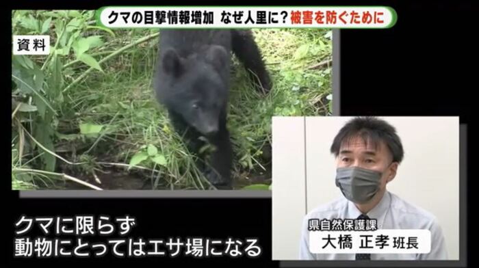 大橋班長:耕作放棄地は動物のエサ場に