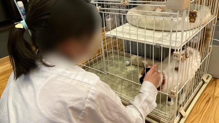 愛想を振らないところが逆に人気