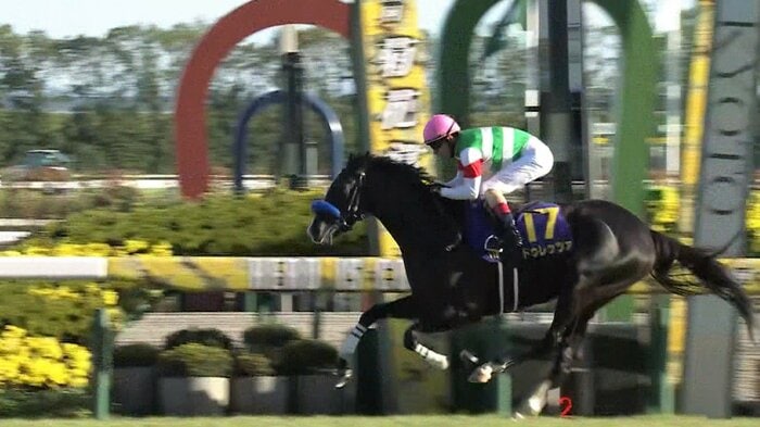 2023年 菊花賞を制した ドゥレッツァ