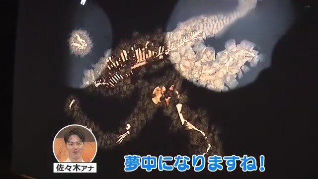 バーチャルで化石発掘を体験