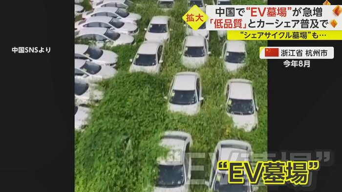 打ち捨てられた電気自動車。屋根にまで雑草が生い茂り、埋もれている車もある。