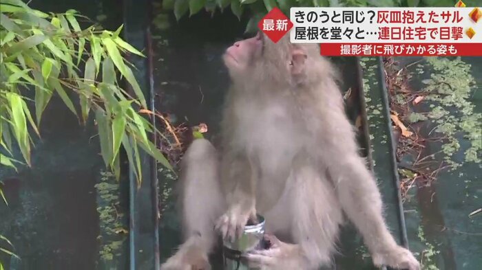 リズミカルに手で灰皿をたたく