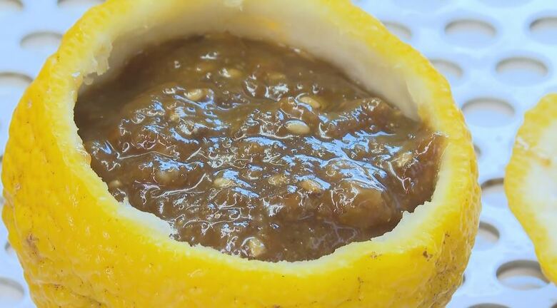 ユズ使った伝統の保存食「ゆべし」作り始まる　住民たちの生産者組合が高齢化で解散　地元のNPO法人が受け継ぐ　長野・天龍村｜FNNプライムオンライン