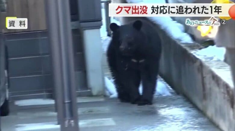 クマに翻ろうされた1年…人の生活圏とクマの生息域が重なる・自治体ごとに新たな対策も　あのニュースの今2025【山形発】｜FNNプライムオンライン