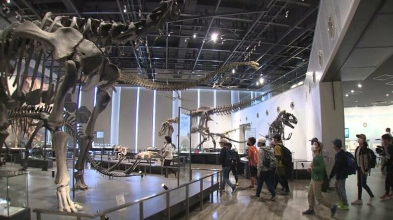 長崎市恐竜博物館 来館者50万人に　企画展好調で早期の達成｜FNNプライムオンライン
