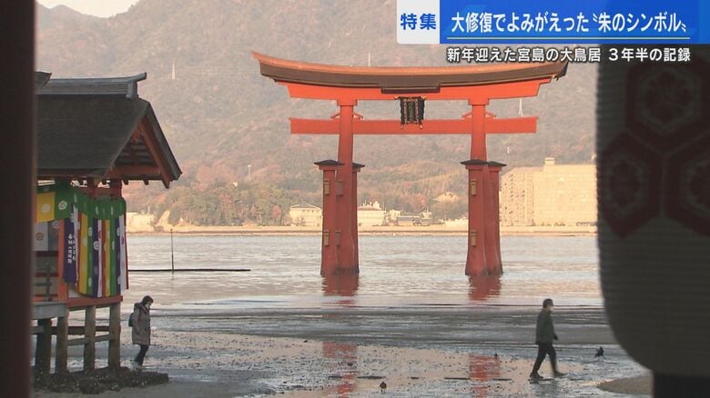 宮島・厳島神社の大鳥居 3年半の修復期間を経てよみがえる～匠の技・想いと共に振り返る～【広島発】｜FNNプライムオンライン