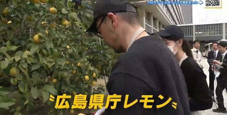 「広島県庁レモン」たわわに実る　園児も手伝い収穫祭　今年は2000個以上を収穫｜FNNプライムオンライン