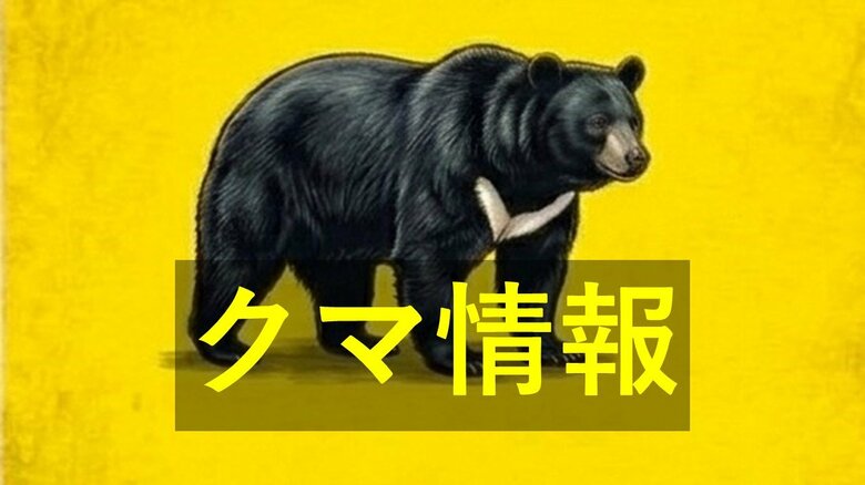 山口市の国道にクマ　体長約１メートル　道路横断して山間部へ　ＪＲ地福駅近く｜FNNプライムオンライン