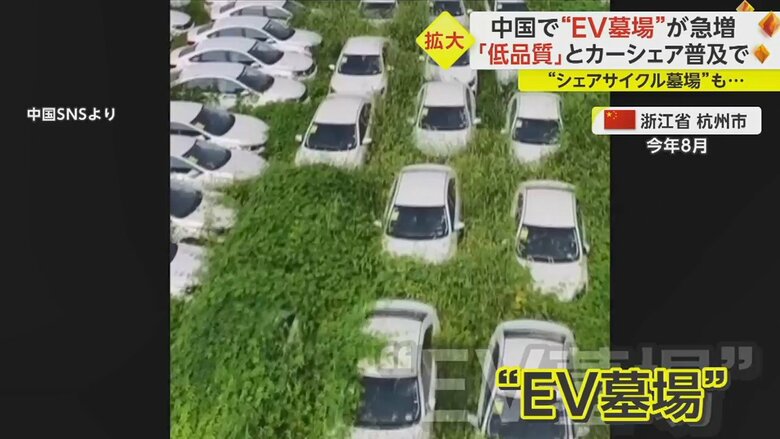 打ち捨てられた電気自動車。屋根にまで雑草が生い茂り、埋もれている車もある。