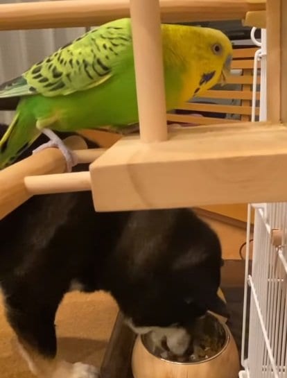 一緒のごはんタイム