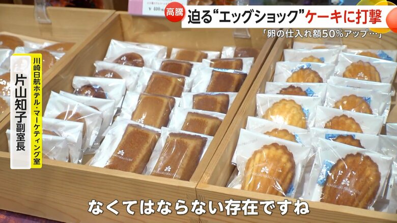 「なくてはならない存在ですね」と話す川崎日航ホテル　マーケティング室・片山知子副室長